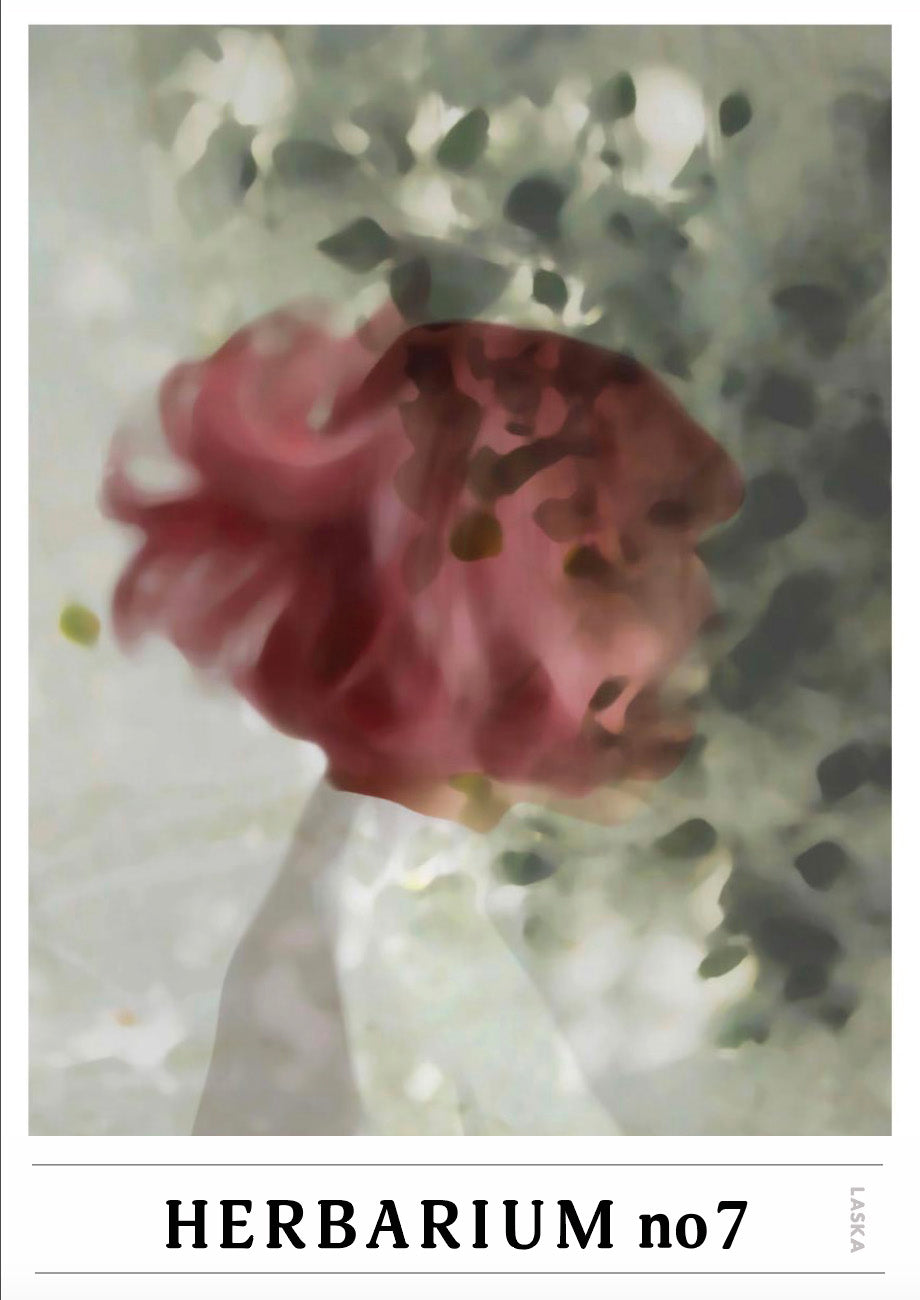 HERBARIUM no7, kunstplakat, Artposter, portrett, abstrakt