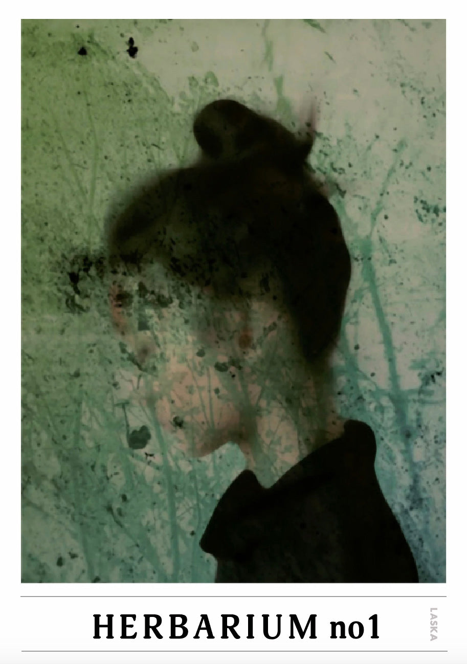 Herbarium no 1 plakat