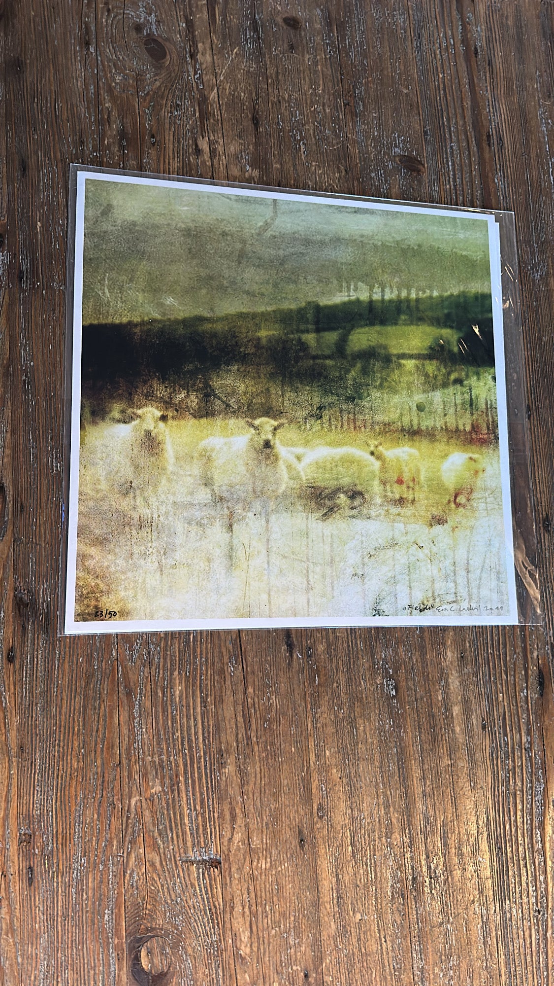 "Field", i 40 x 40 cm