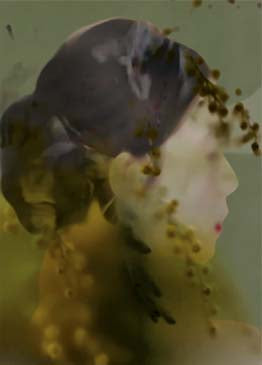 BOTANICAL_3, Håndkolorert DGA, Tørrpastell/Blekk/Gouache