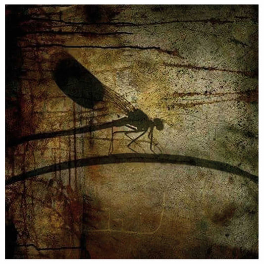 DRAGONFLY, håndkolorerte trykk